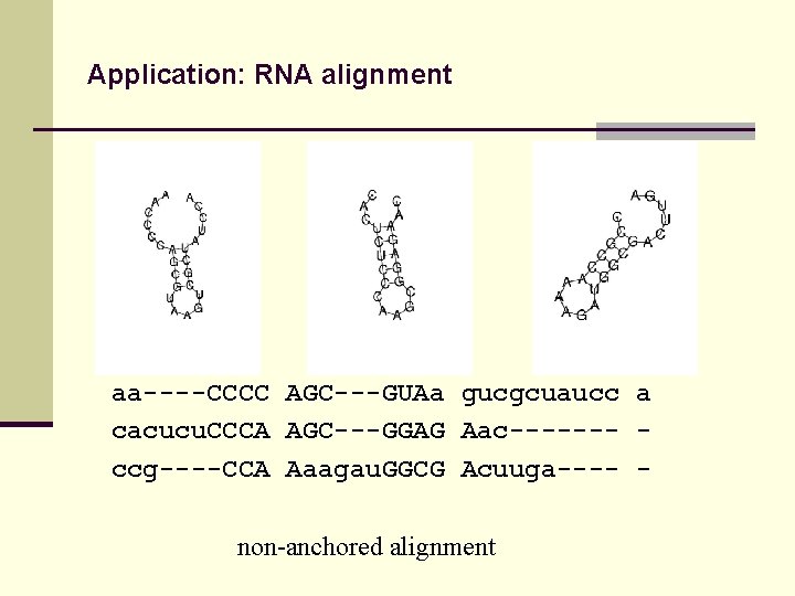 Application: RNA alignment aa----CCCC AGC---GUAa gucgcuaucc a cacucu. CCCA AGC---GGAG Aac------- ccg----CCA Aaagau. GGCG
