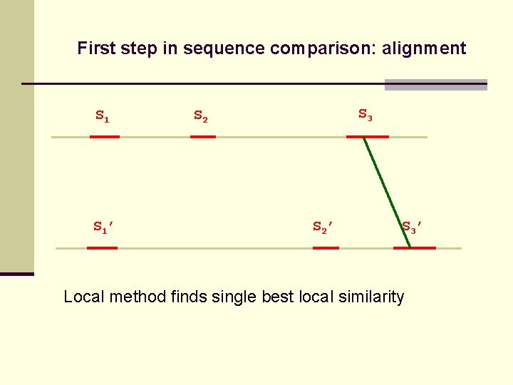 First step in sequence comparison: alignment S 1’ S 3 S 2’ S 3’