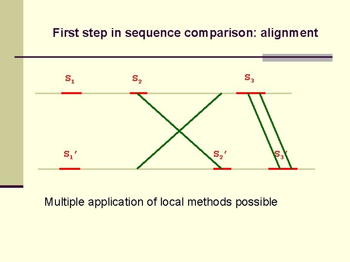 First step in sequence comparison: alignment S 1’ S 3 S 2’ S 3’