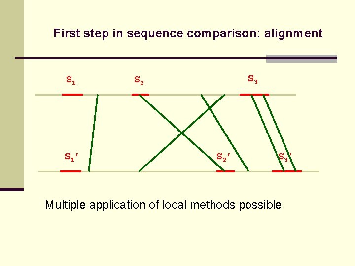 First step in sequence comparison: alignment S 1’ S 3 S 2’ S 3’