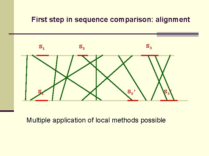 First step in sequence comparison: alignment S 1’ S 3 S 2’ S 3’