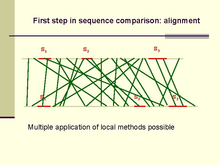 First step in sequence comparison: alignment S 1’ S 3 S 2’ S 3’