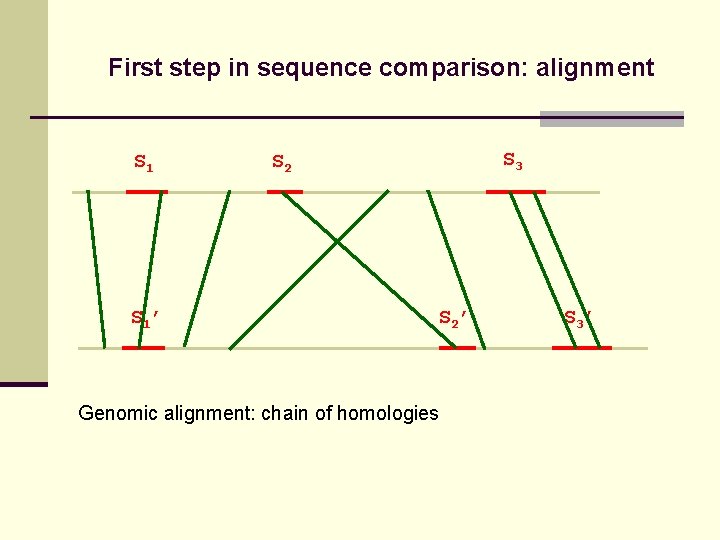 First step in sequence comparison: alignment S 1’ S 3 S 2’ Genomic alignment: