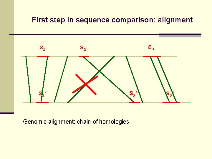 First step in sequence comparison: alignment S 1’ S 3 S 2 ’ Genomic