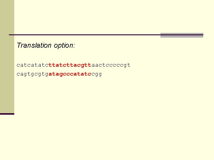 Translation option: catcatatcttacgttaactcccccgt cagtgcgtgatagcccatatccgg 