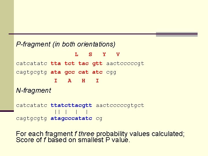 P-fragment (in both orientations) L S Y V catcatatc tta tct tac gtt aactcccccgt