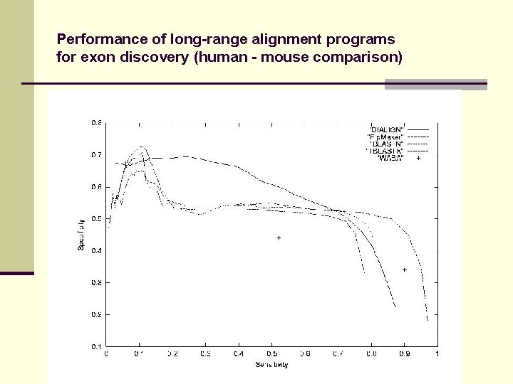 Performance of long-range alignment programs for exon discovery (human - mouse comparison) 