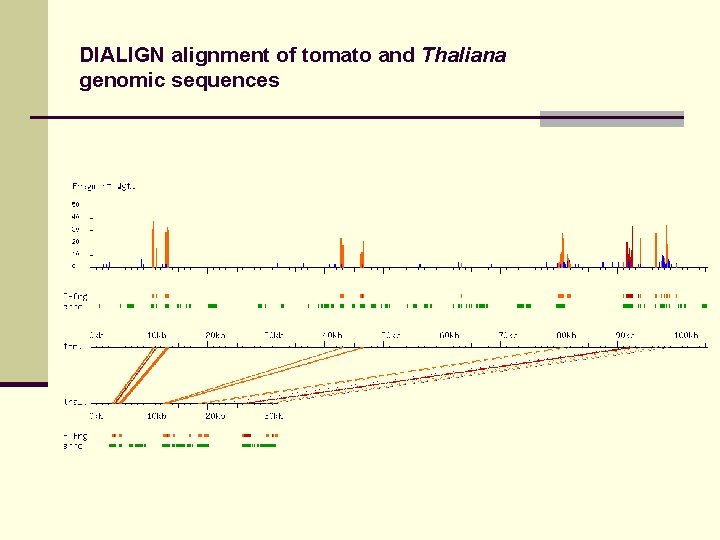 DIALIGN alignment of tomato and Thaliana genomic sequences 