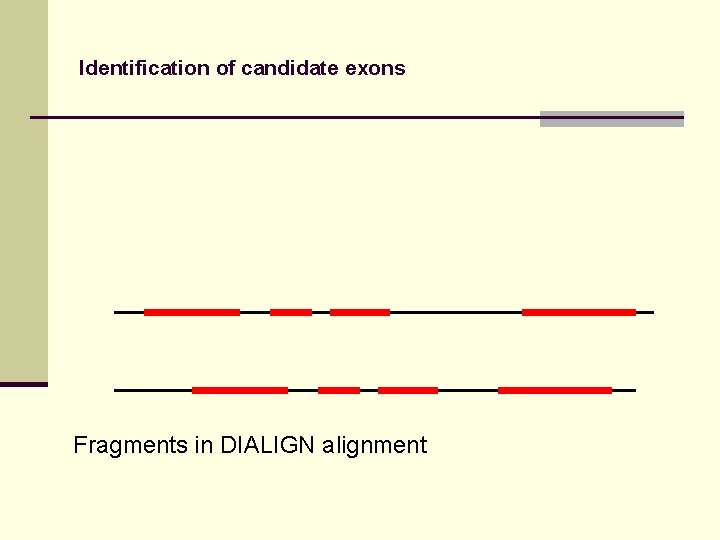 Identification of candidate exons Fragments in DIALIGN alignment 