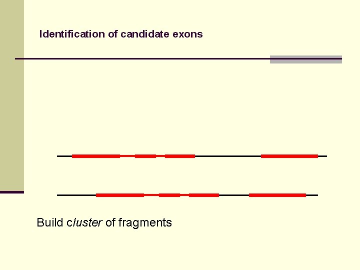 Identification of candidate exons Build cluster of fragments 