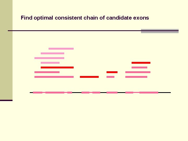 Find optimal consistent chain of candidate exons 