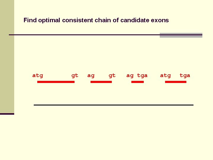 Find optimal consistent chain of candidate exons atg gt ag tga atg tga 