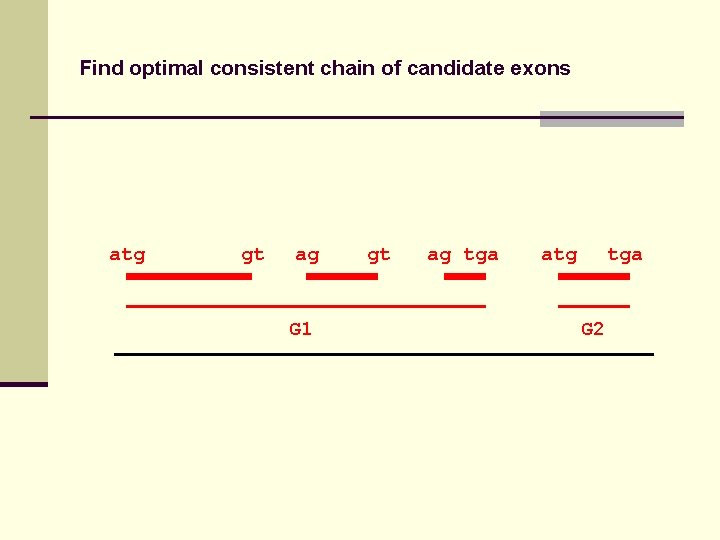 Find optimal consistent chain of candidate exons atg gt ag G 1 gt ag