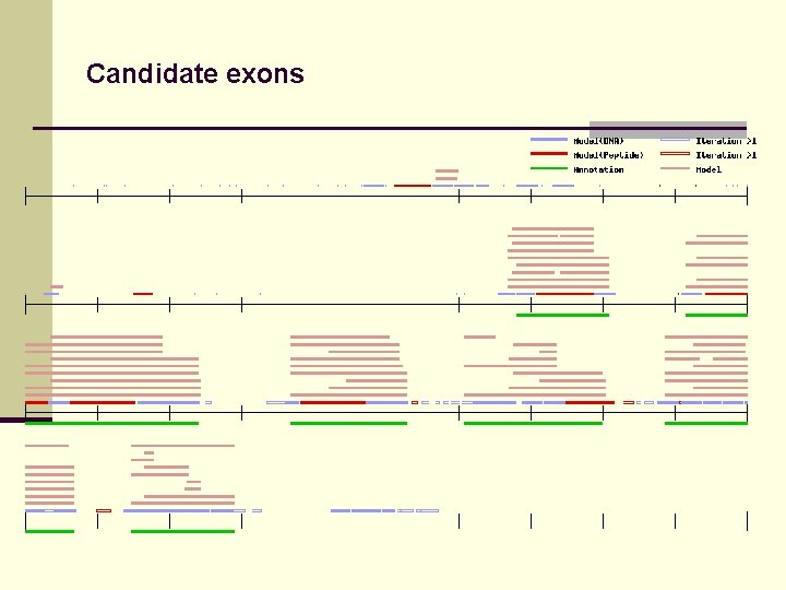 Candidate exons 