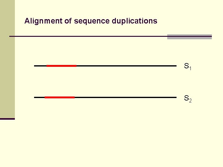 Alignment of sequence duplications S 1 S 2 