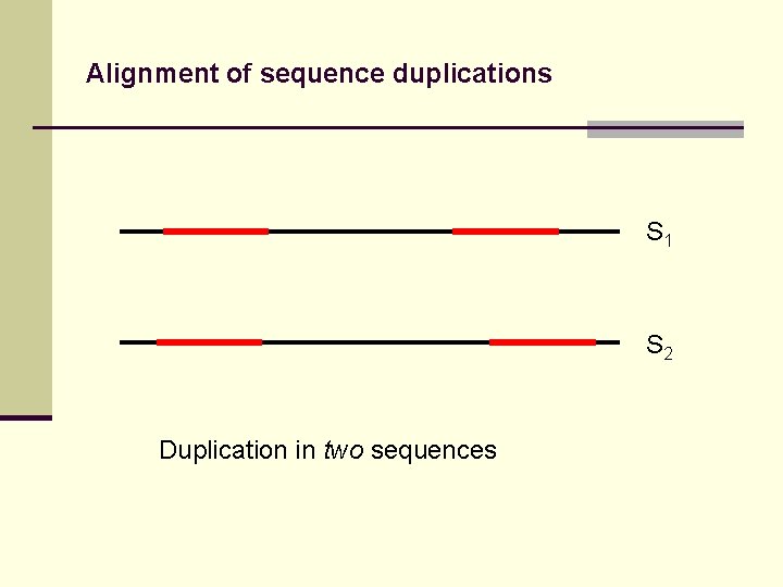 Alignment of sequence duplications S 1 S 2 Duplication in two sequences 