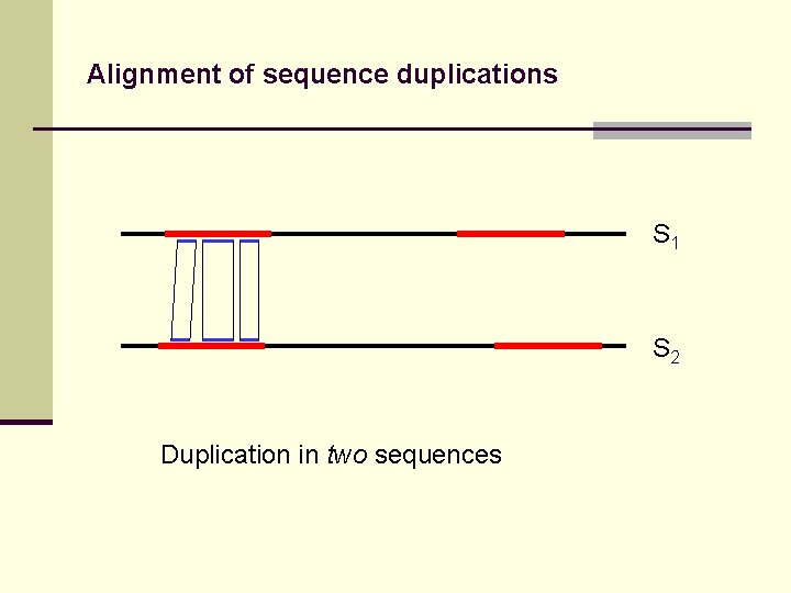 Alignment of sequence duplications S 1 S 2 Duplication in two sequences 