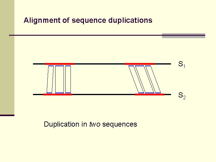 Alignment of sequence duplications S 1 S 2 Duplication in two sequences 