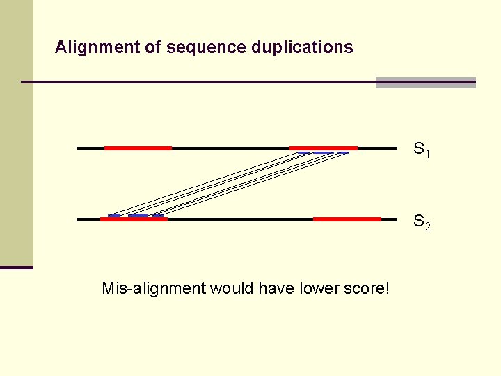 Alignment of sequence duplications S 1 S 2 Mis-alignment would have lower score! 