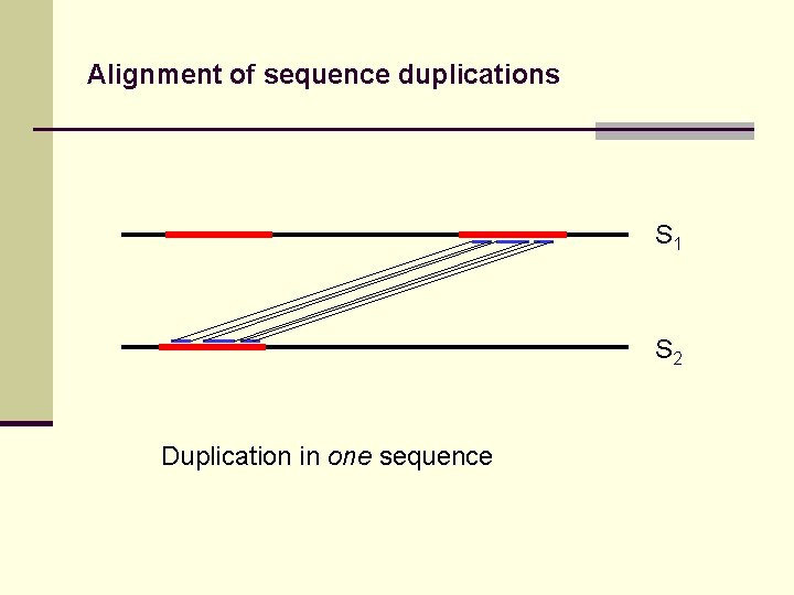 Alignment of sequence duplications S 1 S 2 Duplication in one sequence 