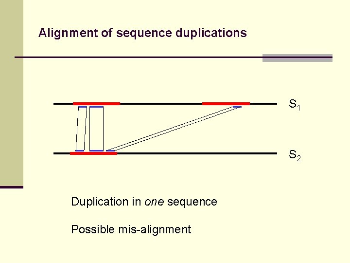 Alignment of sequence duplications S 1 S 2 Duplication in one sequence Possible mis-alignment