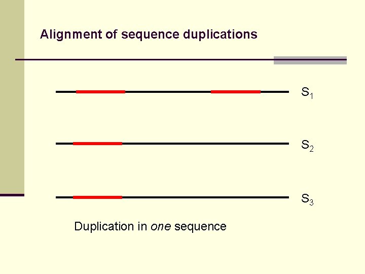 Alignment of sequence duplications S 1 S 2 S 3 Duplication in one sequence