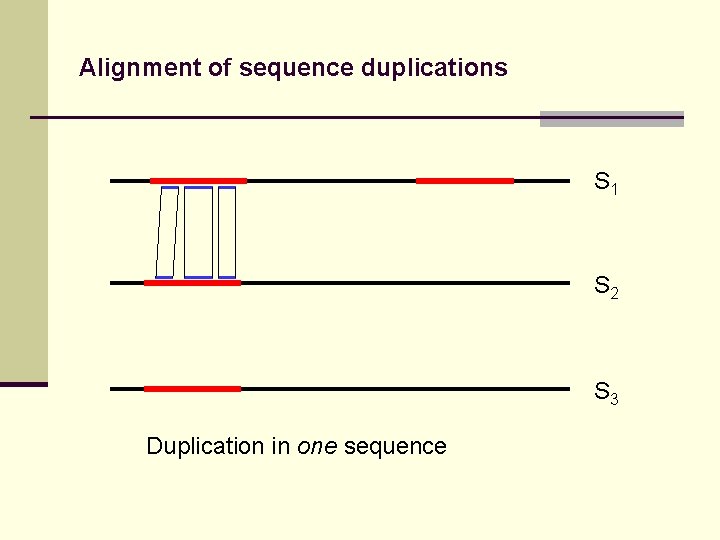 Alignment of sequence duplications S 1 S 2 S 3 Duplication in one sequence