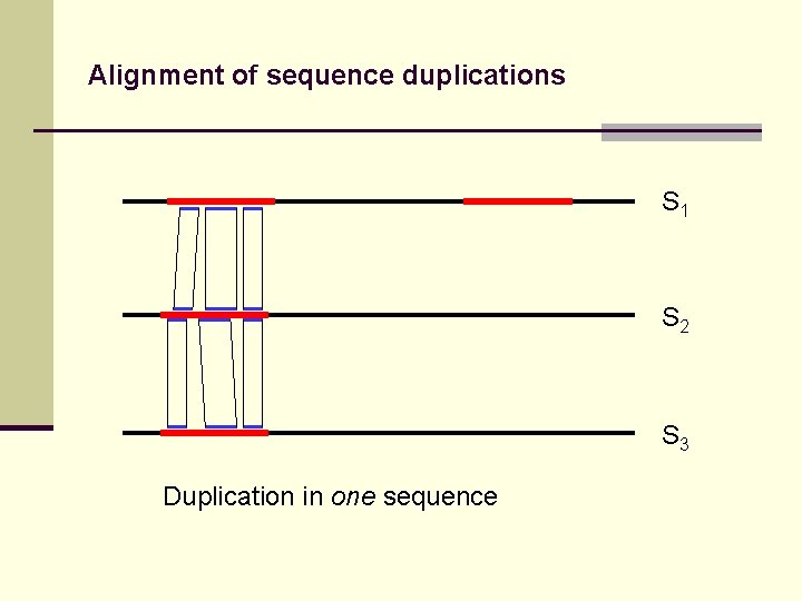 Alignment of sequence duplications S 1 S 2 S 3 Duplication in one sequence