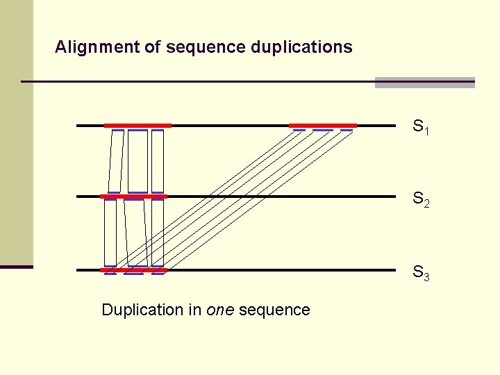 Alignment of sequence duplications S 1 S 2 S 3 Duplication in one sequence