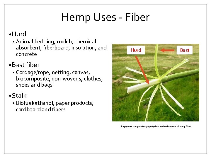 Hemp Uses ‐ Fiber • Hurd • Animal bedding, mulch, chemical absorbent, fiberboard, insulation,