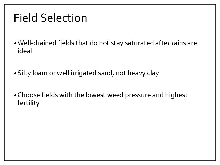 Field Selection • Well‐drained fields that do not stay saturated after rains are ideal