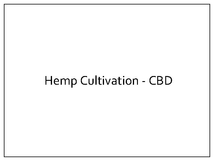 Hemp Cultivation ‐ CBD 