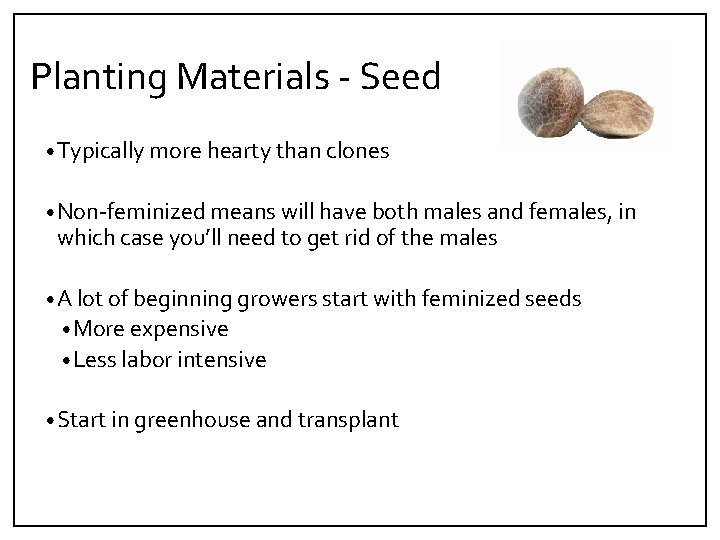 Planting Materials ‐ Seed • Typically more hearty than clones • Non‐feminized means will