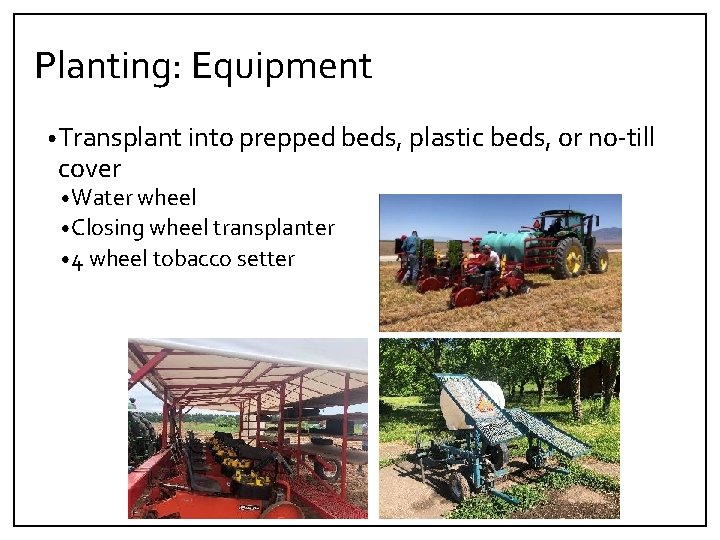 Planting: Equipment • Transplant into prepped beds, plastic beds, or no‐till cover • Water
