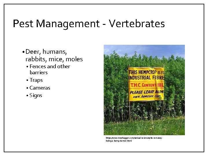 Pest Management ‐ Vertebrates • Deer, humans, rabbits, mice, moles • Fences and other