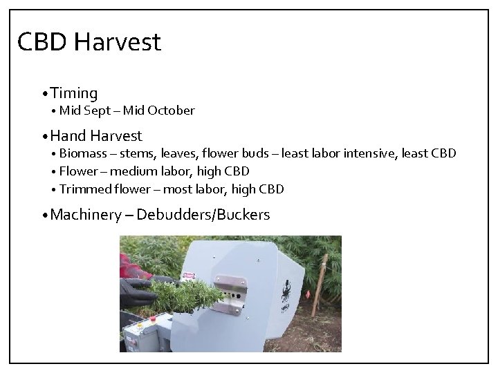 CBD Harvest • Timing • Mid Sept – Mid October • Hand Harvest •