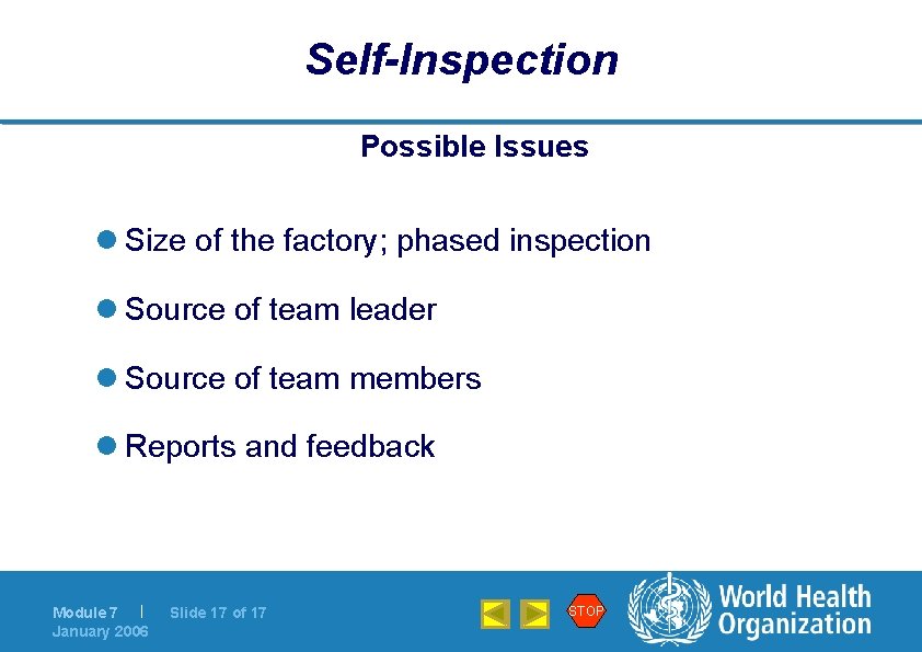 Self-Inspection Possible Issues l Size of the factory; phased inspection l Source of team