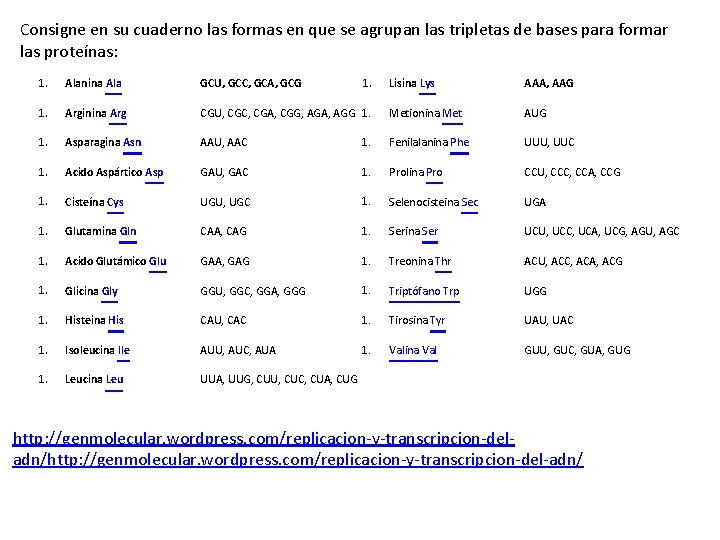 Consigne en su cuaderno las formas en que se agrupan las tripletas de bases