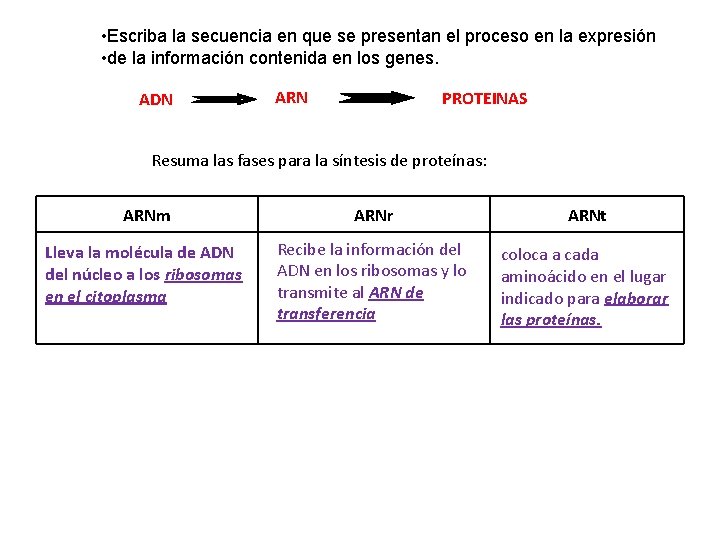  • Escriba la secuencia en que se presentan el proceso en la expresión