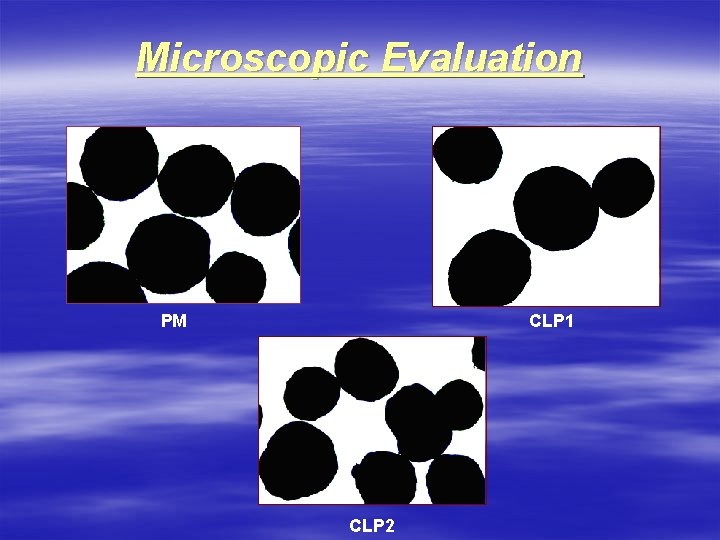 Microscopic Evaluation PM CLP 1 CLP 2 