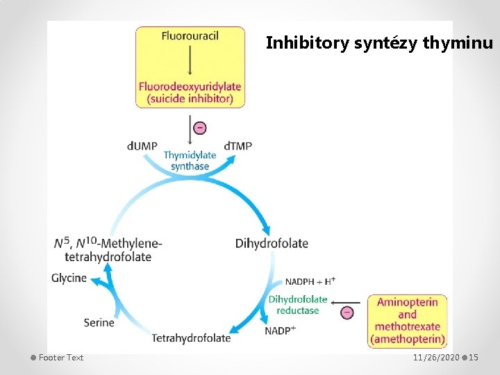 Inhibitory syntézy thyminu Footer Text 11/26/2020 15 