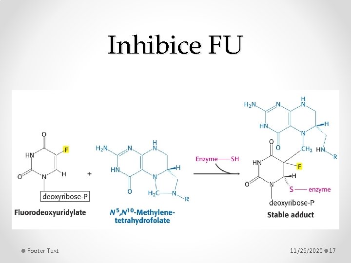 Inhibice FU Footer Text 11/26/2020 17 