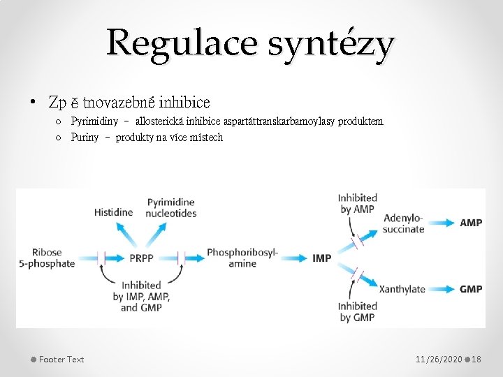 Regulace syntézy • Zpětnovazebné inhibice o Pyrimidiny – allosterická inhibice aspartáttranskarbamoylasy produktem o Puriny