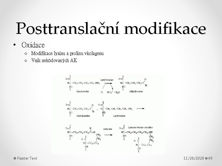 Posttranslační modifikace • Oxidace o Modifikace lysinu a prolinu vkolagenu o Vnik nekódovaných AK