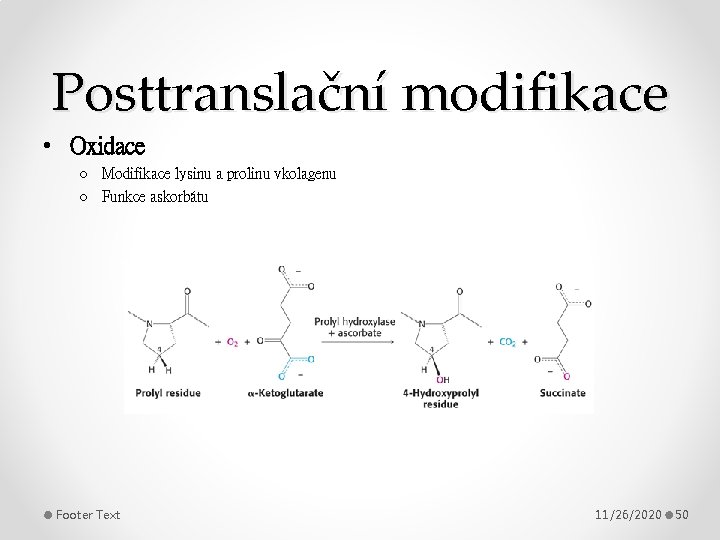Posttranslační modifikace • Oxidace o Modifikace lysinu a prolinu vkolagenu o Funkce askorbátu Footer