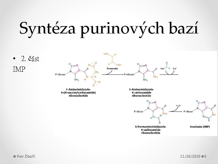 Syntéza purinových bazí • 2. část IMP Petr Zbořil 11/26/2020 6 