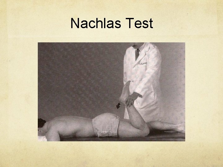 Nachlas Test 