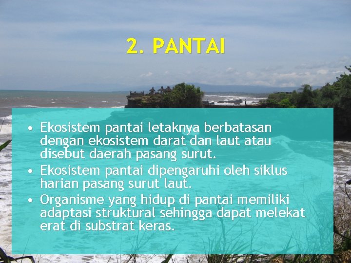 2. PANTAI • Ekosistem pantai letaknya berbatasan dengan ekosistem darat dan laut atau disebut