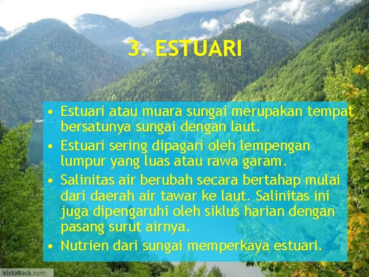 3. ESTUARI • Estuari atau muara sungai merupakan tempat bersatunya sungai dengan laut. •