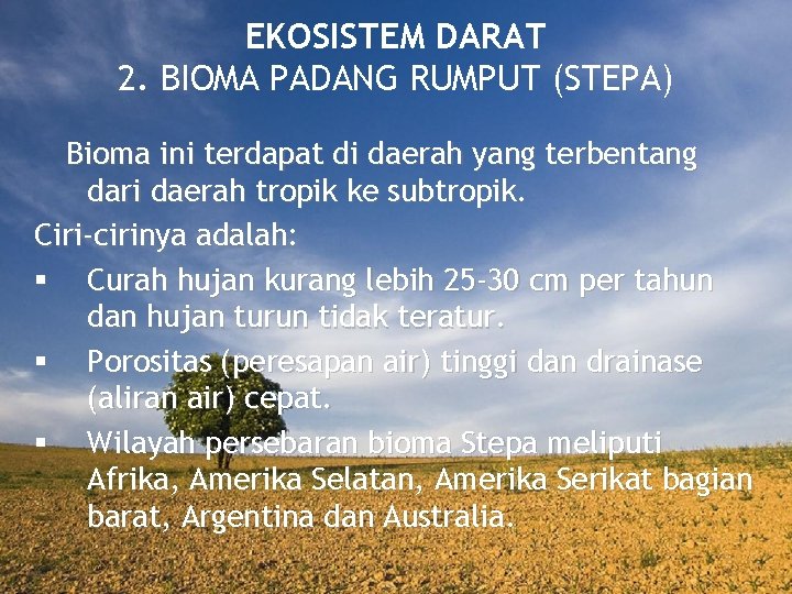 EKOSISTEM DARAT 2. BIOMA PADANG RUMPUT (STEPA) Bioma ini terdapat di daerah yang terbentang
